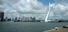 Erasmusbrug Erasmusbrug.jpg