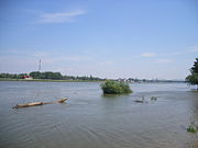 Az Erzsébet-sziget a Duna déli partjáról nézve