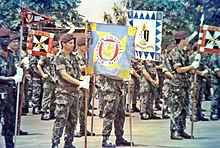 Estandarte do Batalhão de Caçadores 2929 em primeiro plano. Militares no desfile de companhias militares na véspera do regresso à metrópole, Guiné 1972