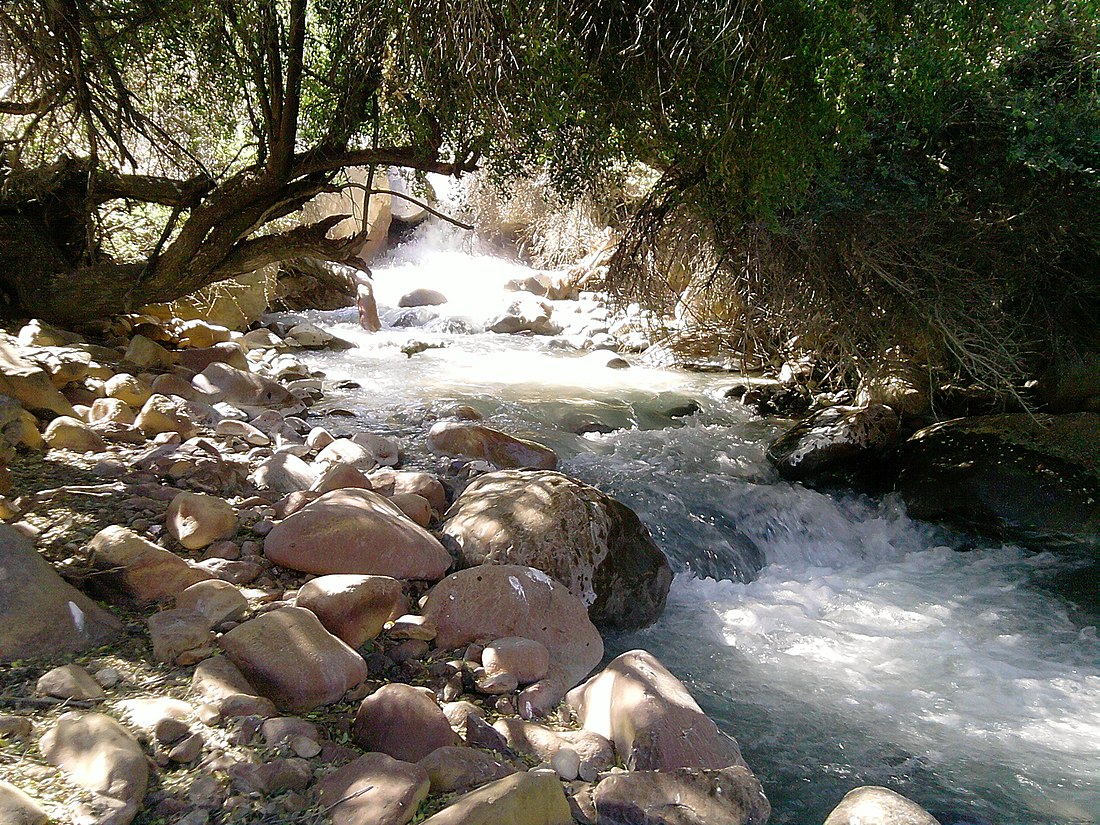 Estero Yerba Loca