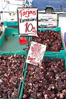 For sale with warning sign, Market Square, Helsinki False morels for sale - don't touch.jpg