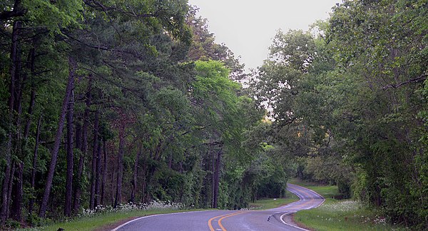 Farm to Market Road 315 north of Palestine, Anderson County, Texas, USA (April 2017)