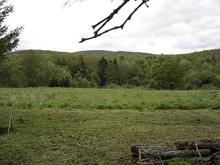 Farmland Jefferson NY.jpg