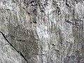 Fault slickenlines (Morrison Formation, Upper Jurassic; Carnegie Quarry, Dinosaur National Monument, Utah, USA) 12 (48862118436).jpg