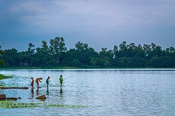 Ramsagar National Park. Photograph: Jubair1985 Licensing: CC-BY-SA-4.0