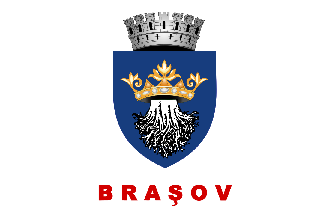 Brașov (stad)