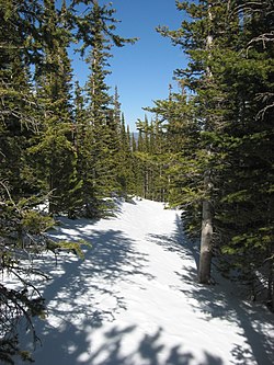 Flattop Mountain Trail im Winter.jpg