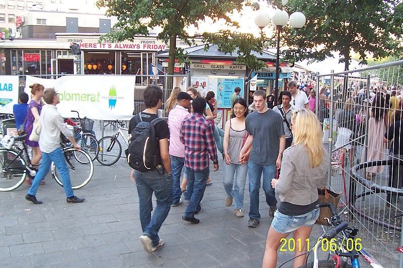 File:Folkvimmel vid Kungsträdgården, Sveriges Nationaldag - panoramio (21).jpg