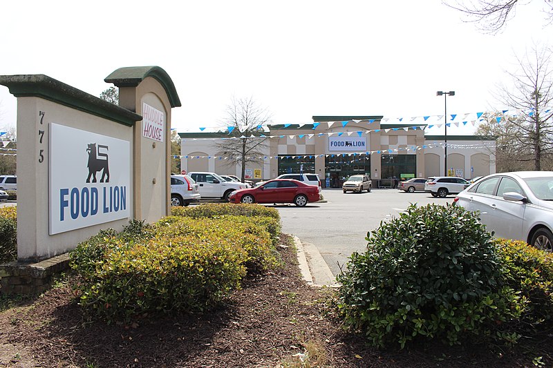 File:Food Lion, Hahira.jpg