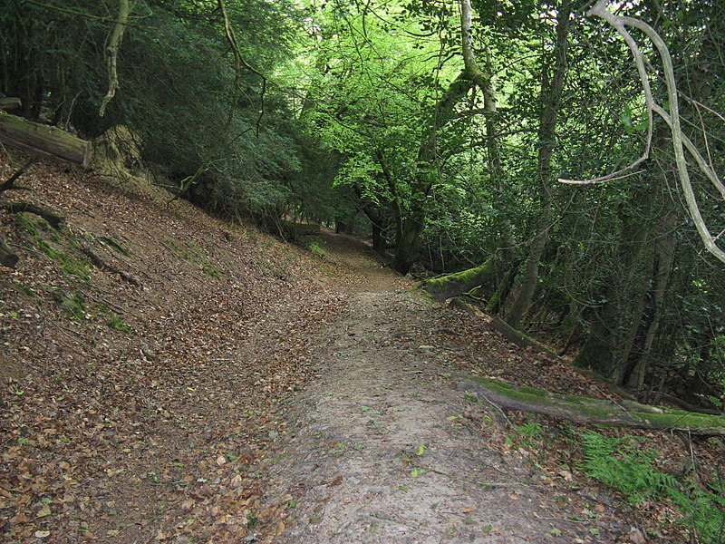 File:Footpath to Bexleyhill - geograph.org.uk - 1870336.jpg