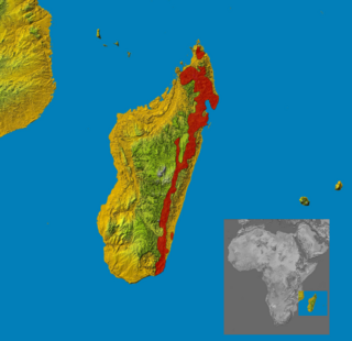 Mapa występowania