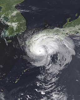 Typhoon Francisco (2019) Pacific typhoon in 2019