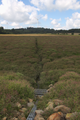 English: Reichloser Teich (Artificial lake, Nature reserve) near Reichlos, Freiensteinau, Hesse, Germany