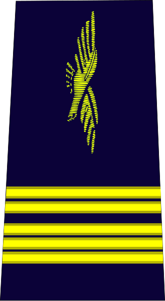 File:French Air Force-colonel.svg