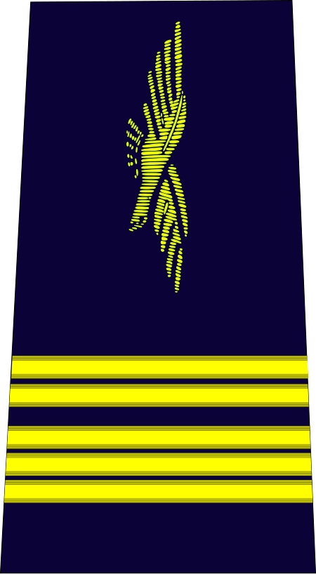 ไฟล์:French_Air_Force-colonel.svg