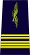 Armée de l'Air française-colonel.svg