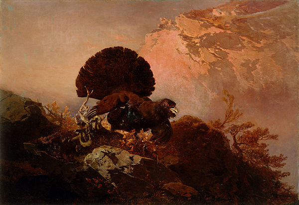 A Capercaillie by Friedrich Gauermann, an early representative of the Verismo[1]