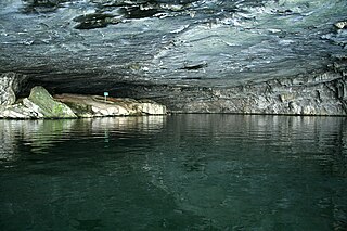 Nickajack Cave Large, partially flooded cave in Marion County, Tennessee