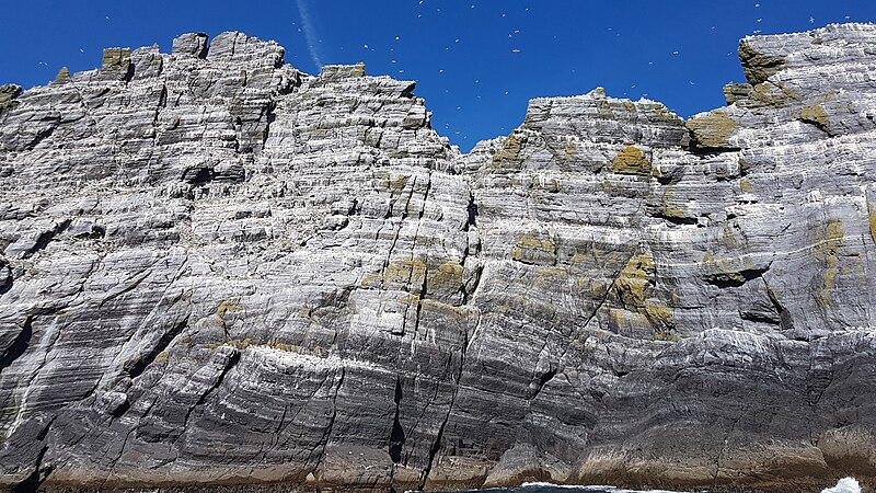 File:Gannets on Little Skellig 02.jpg