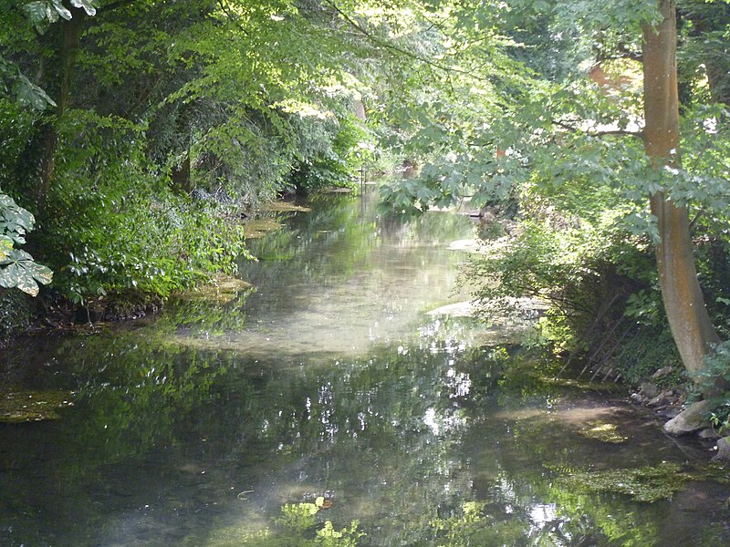 File:Gently flows the Kennet (4) - geograph.org.uk - 5491775.jpg