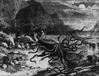 A giant squid that washed ashore in Newfoundland in 1877. Giant squid catalina.png