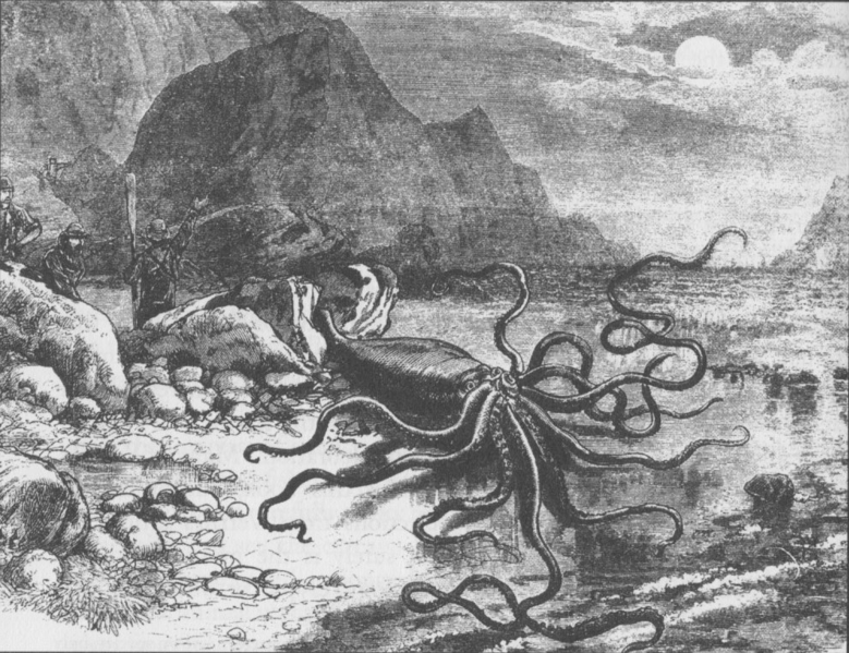 File:Giant squid catalina.png