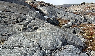 Serpentiiniä, jota jäätikkö on naarmuttanut, Nunavut, Kanada.