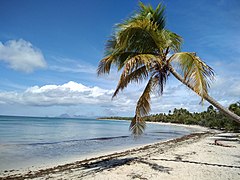 La grande anse des Salines.