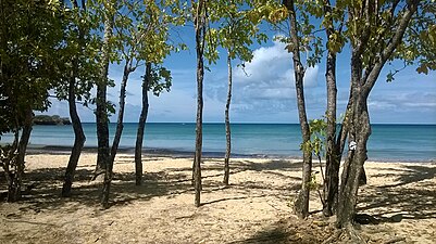 Grande Anse des Salines