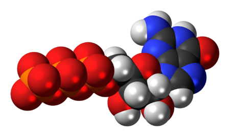 Guanosina trifosfat