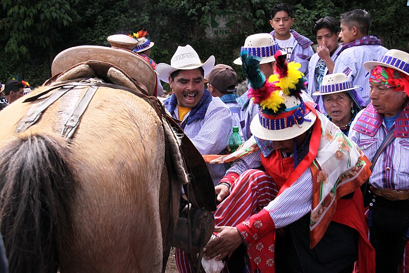 File:Guatemala todos santos 3067a.jpg