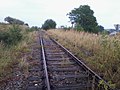 Hst. Maigen am 25. August 2013. Das Haltestellenschild ist schon verrostet und die Bahnsteigkante ist noch erkennbar.