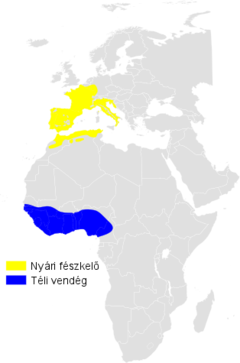 Distribución da folosa amarela: amarelo: verán; azul: inverno