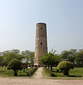 The minaret which serves as a tomb marker for Emperor Jahangir's pet antelope.