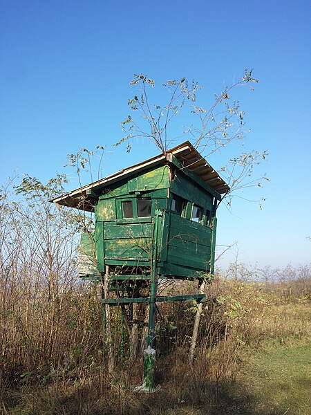 File:Hochstand südsüdöstlich von Traunfeld sl1.jpg