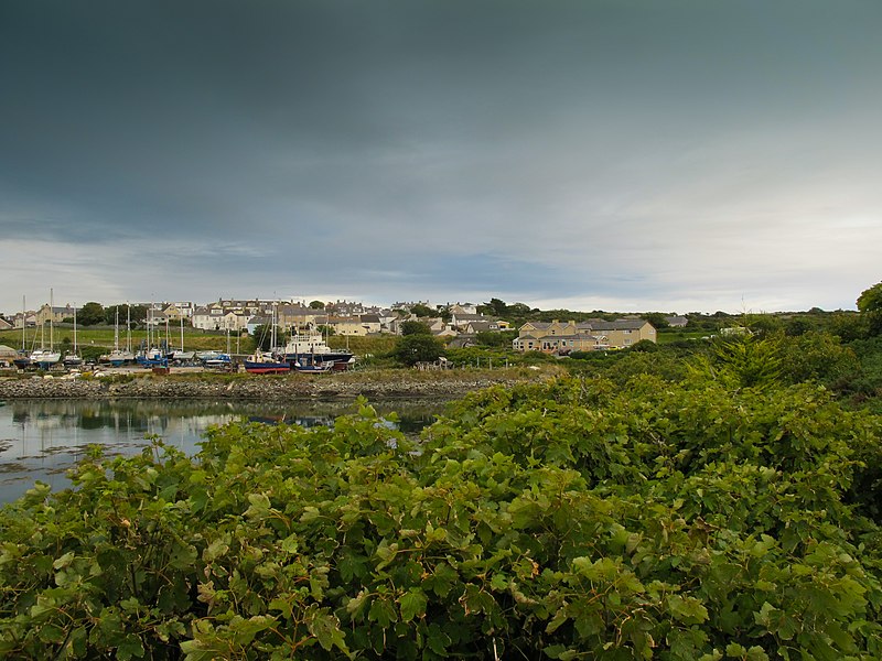 File:Holyhead marina 2011 04.jpg