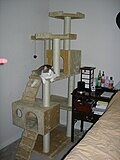 Thumbnail for Cat tree