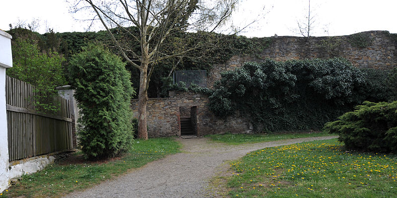 File:Horn Stadtmauer 5779.jpg