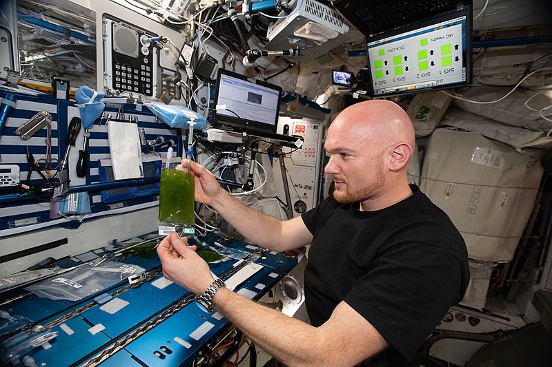 File:ISS-56 Alexander Gerst works in the Harmony module (3).jpg