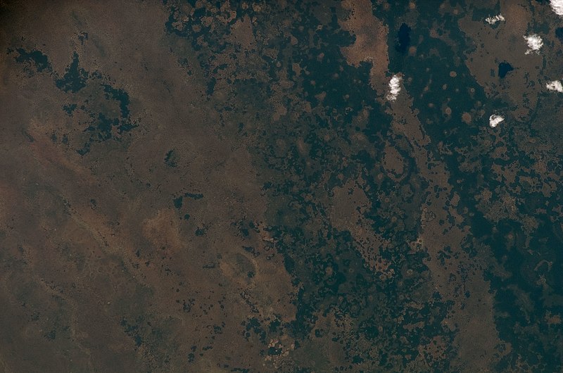 File:ISS017-E-6368 - View of Mozambique.jpg