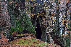 Oasi naturalistica dei Giganti di Cozzo del Pesco