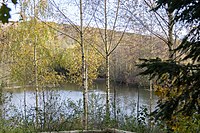 Inselsee auf der Sophienhöhe