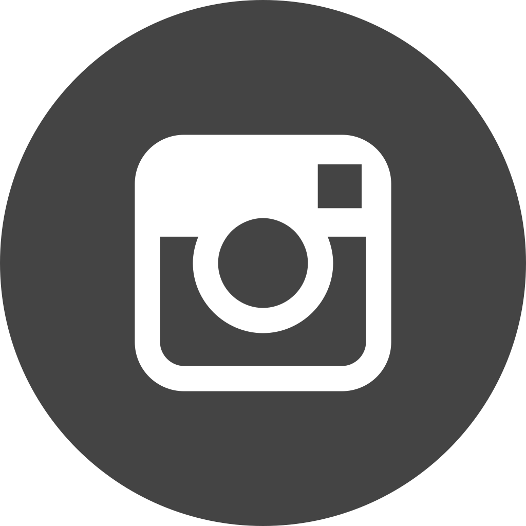 File:Instagram circle.svg - Wikimedia Commons - 1024 x 1024 png 42kB