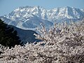 2014年4月14日 (月) 11:45時点における版のサムネイル