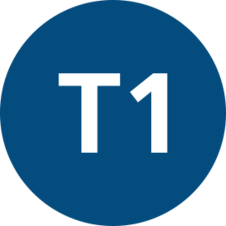 Istanbul T1 Line Symbol.png