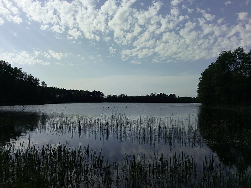 File:Jezioro Kukowo.jpg
