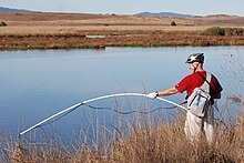 Jim McCarthy, Adobe Creek streamkeeper, was honored by the Santa Clara County Creeks Coalition for his work to restore the creek. Here he measures temperature, dissolved oxygen, salinity, copper levels, and turbidity 2010.