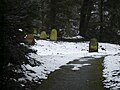 Juedischer Friedhof Hemsbach 02 fcm.jpg