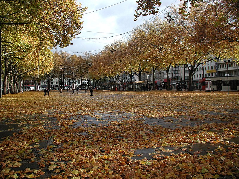 File:Köln-Neumarkt-im-Herbst-66.JPG