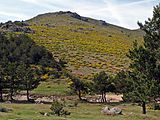 Sierra de Guadarrama